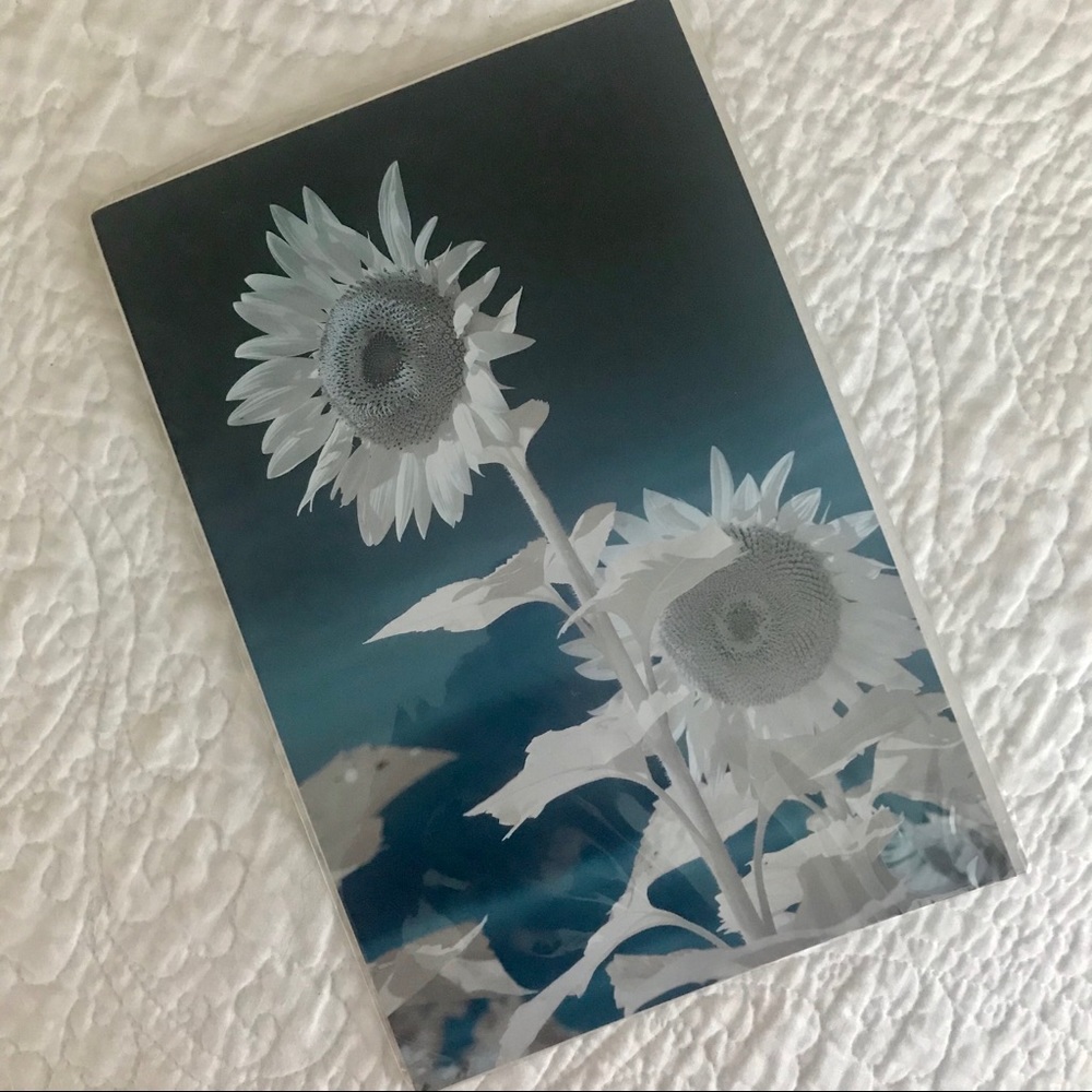 Original Infrared Sunflower Print